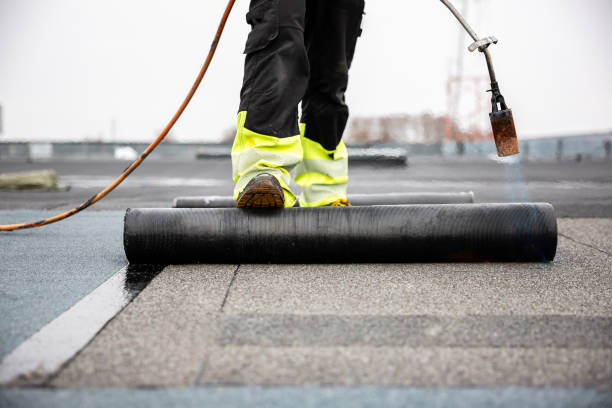 Best Skylight Installation and Repair  in Lonaconing, MD